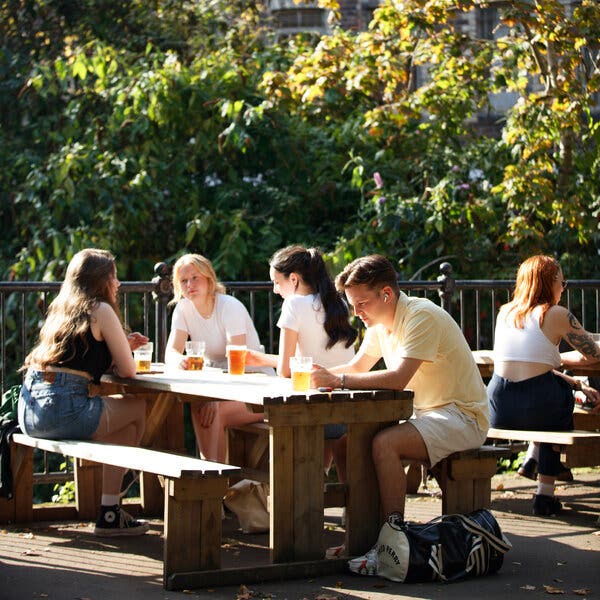 People sit at a picnic table on a sunny day with beer glasses in front of them. 